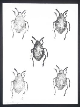 Bugs Are Us