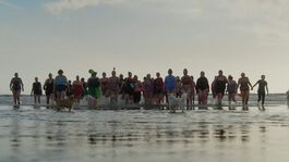 Hetain Patel: Come As You Really Are