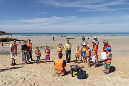 Beach Art Explorers