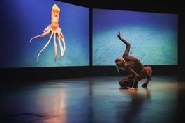 Emma Critchley: Soundings Performance