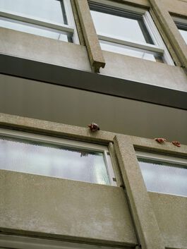Past the Concrete: Do Ho Suh