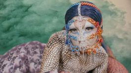 Members Private View: Emilija Škarnulytė