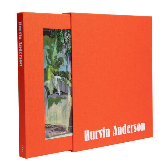 Hurvin Anderson limited edition book