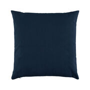 Van Gogh Starry Night over the Rhône cushion cover