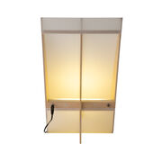 Anish Kapoor Teardrop lamp