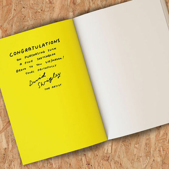 David Shrigley Art Will Save the World sketchbook