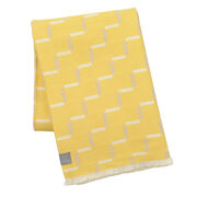 Steps blanket