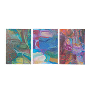 Emily Kam Kngwarray The Alhalker Suite notebook set
