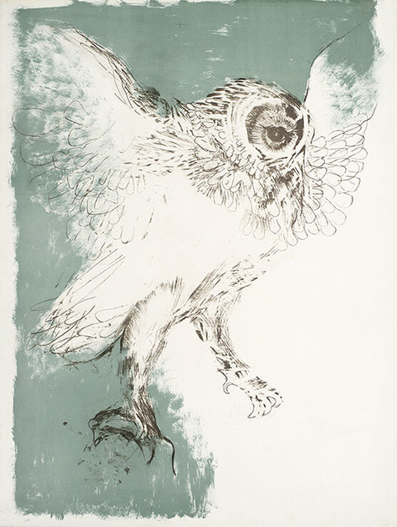 Elisabeth Frink: Owl