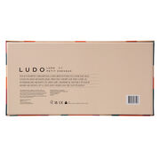 Ludo board game