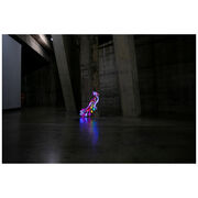 Chila Kumari Singh Burman Peacock neon light