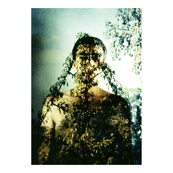 Brion Gysin Autoportrait shelf print