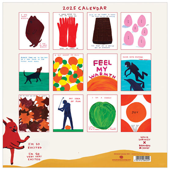 David Shrigley 2025 wall calendar