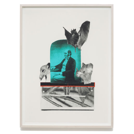 Monster Chetwynd, Charles Darwin, 2020 (framed)