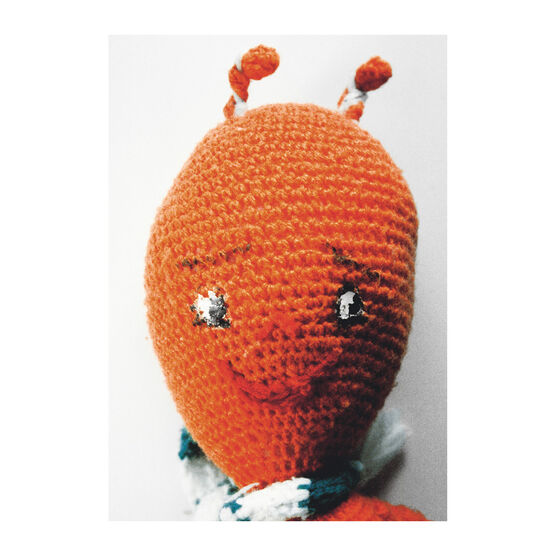 Mike Kelley Ahh&hellip;Youth! shelf print