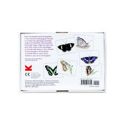 Butterfly Wings card game