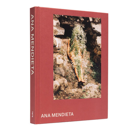 Ana Mendieta exhibition book