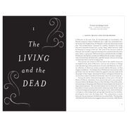 The Ghost: A Cultural History (paperback)