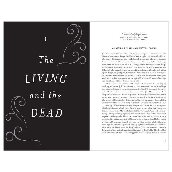 The Ghost: A Cultural History (paperback)