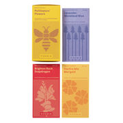 Pollinator flowers seed set
