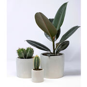 Concrete plant pot