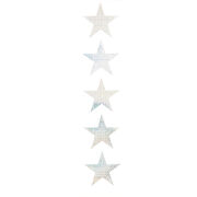 Silver star sticker roll