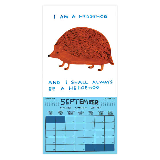 David Shrigley 2027 Calendar