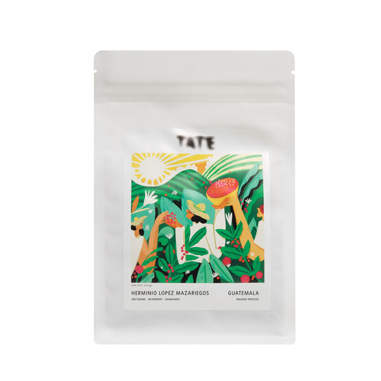 Gallery Filter - 250g Wholebean