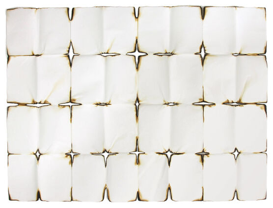 Cornelia Parker: Red Hot Poker Drawing