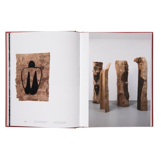 Ana Mendieta exhibition book