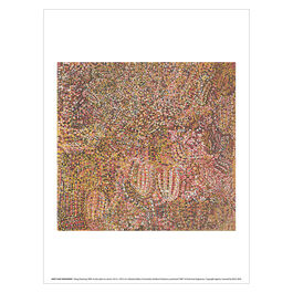Emily Kam Kngwarray Ntang Dreaming art print