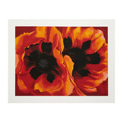 Georgia O'Keeffe Oriental Poppies (Folio)