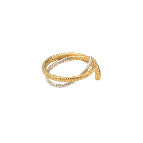 Salt orbit ring