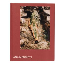 Ana Mendieta exhibition book