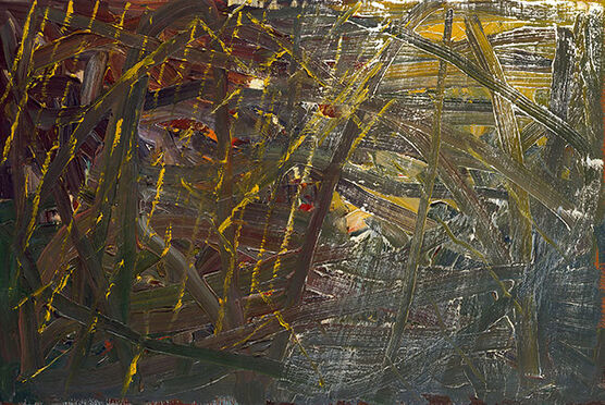 Gerhard Richter: Oil Sketch No.432/11