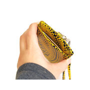 Yayoi Kusama card holder