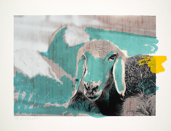 Menashe Kadishman: Sheep Head A