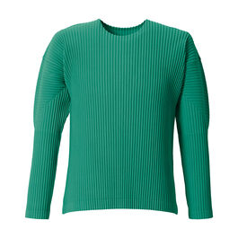 Teal long sleeve Snail top