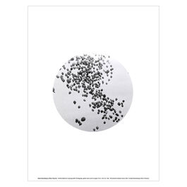 Adam Broomberg, Oliver Chanarin Untitled (Balloons escaping) art print