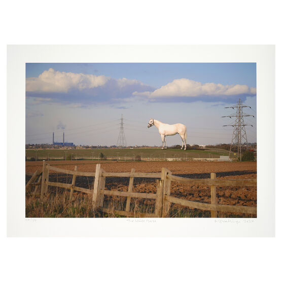 Mark Wallinger The White Horse, 2007/2024