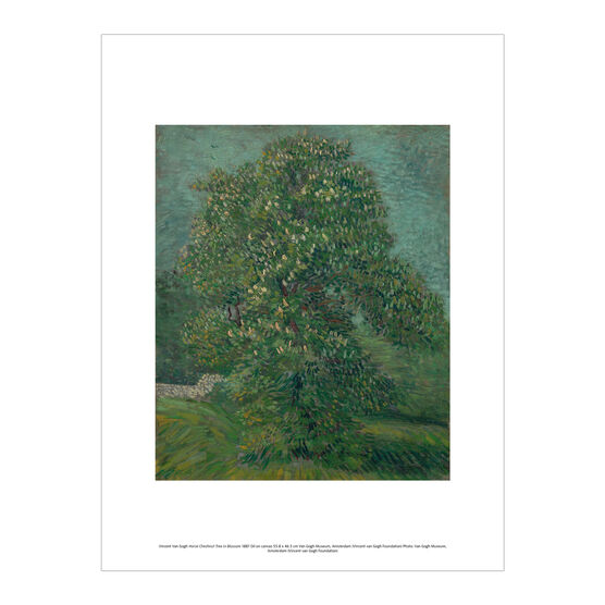 Vincent van Gogh: Horse Chestnut Tree in Blossom exhibition print