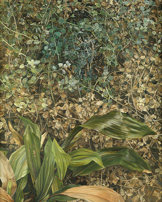 Lucian Freud: Two Plants