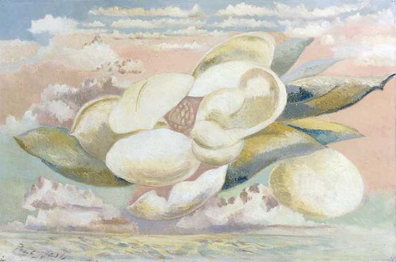 Nash:  Flight of the Magnolia