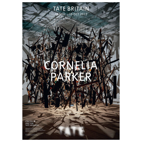 Cornelia Parker exhibition poster