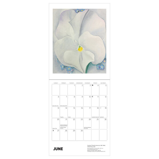 Georgia O'Keeffe MINI Calendar 2027