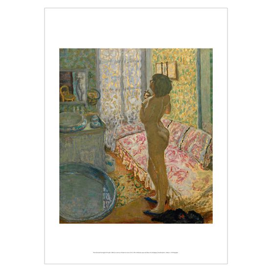 Pierre Bonnard: Nude Against the Light poster
