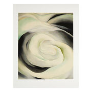 Georgia O'Keeffe Abstraction White Rose (Folio)