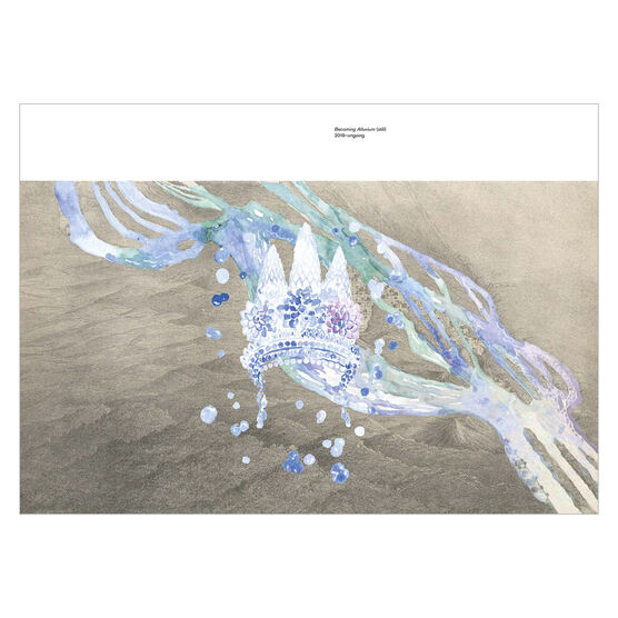 Thao Nguyen Phan exhibition book