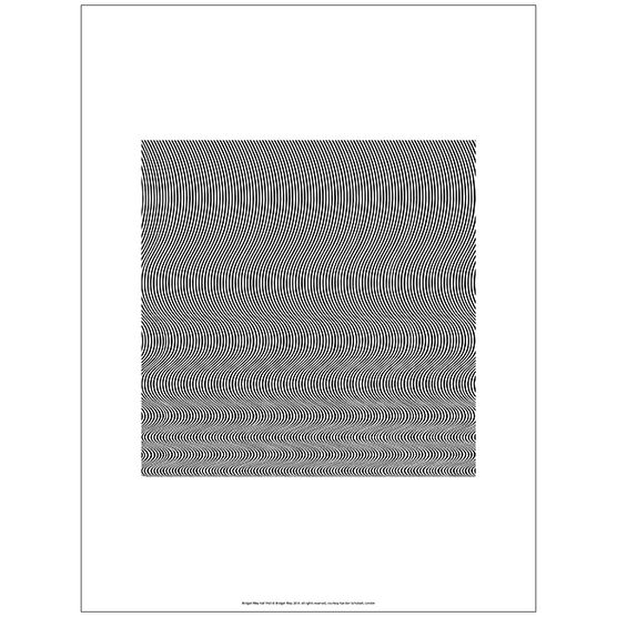 Bridget Riley Fall (unframed print)