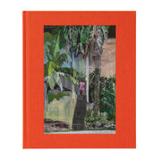 Hurvin Anderson limited edition book